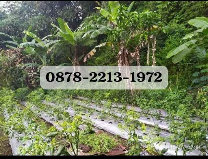 dijual tanah punclut lembang kbb