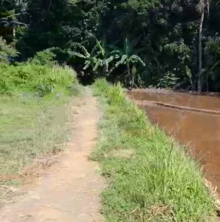 dijual tanah sawah produktif di randibawa kuningan