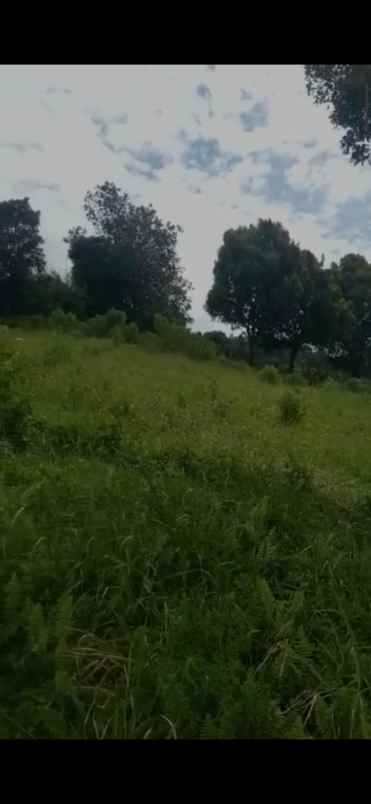 dijual tanah tajur halang