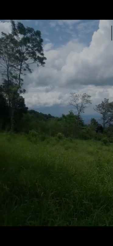 dijual tanah tajur halang