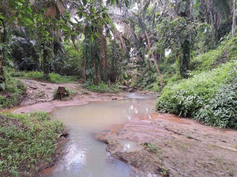 dijual tanah talun kenas deli serdang