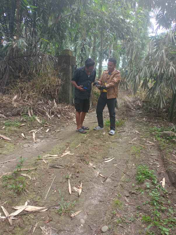 dijual tanah talun kenas deli serdang