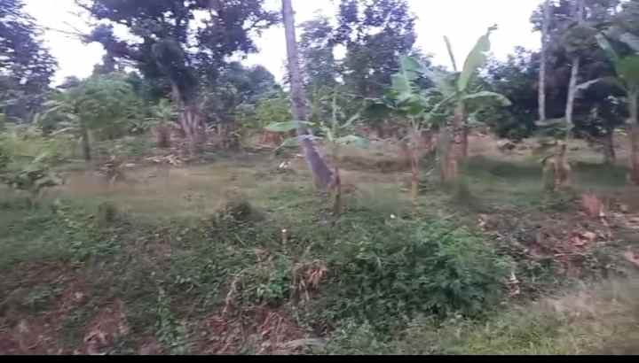 dijual tanah tenjo layar