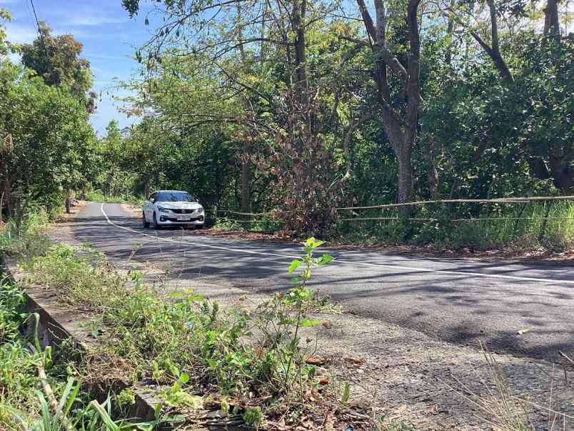 dijual tanah tigawasa village banjar