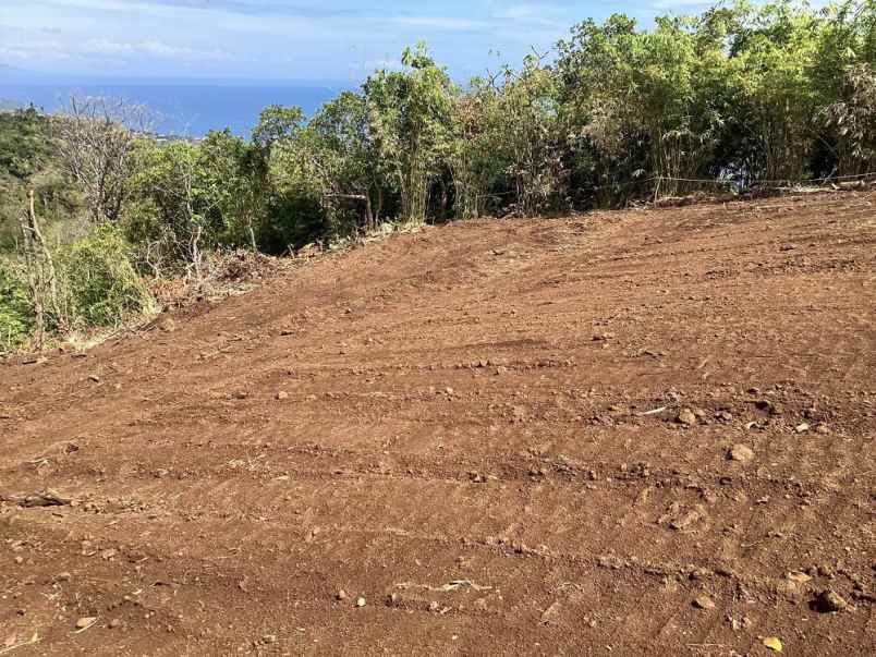 dijual tanah tigawasa village banjar