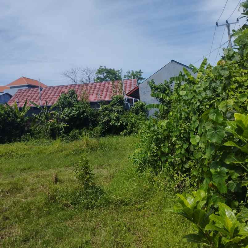 disewakan tanah gatsu barat