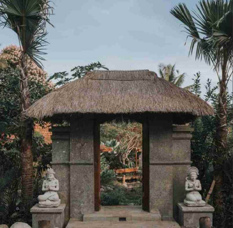 eco resort view sungai dan jungle di bali