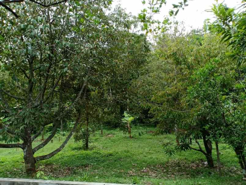 rumah komplek wisata kebun