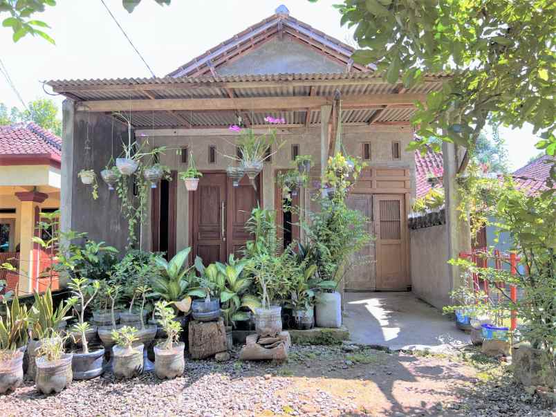 rumah minimalis tepi jl raya sragen
