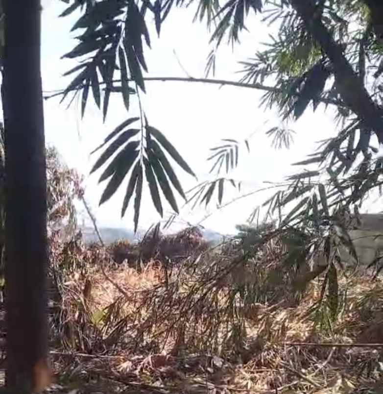 tanah bagus ngaliyan semarang