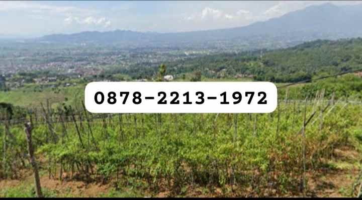 tanah bagus untuk villa kebun buah di soreang bandung
