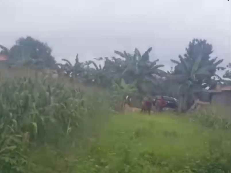 tanah di dekat itera jati agung luas 4400m