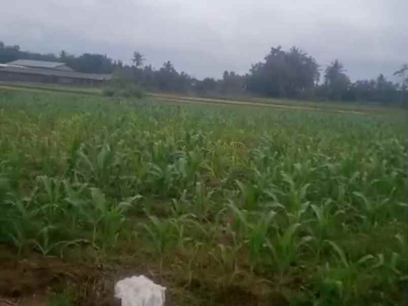 tanah di dekat itera jati agung luas 4400m