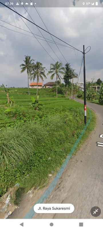 tanah jl amd cibentang ciseeng