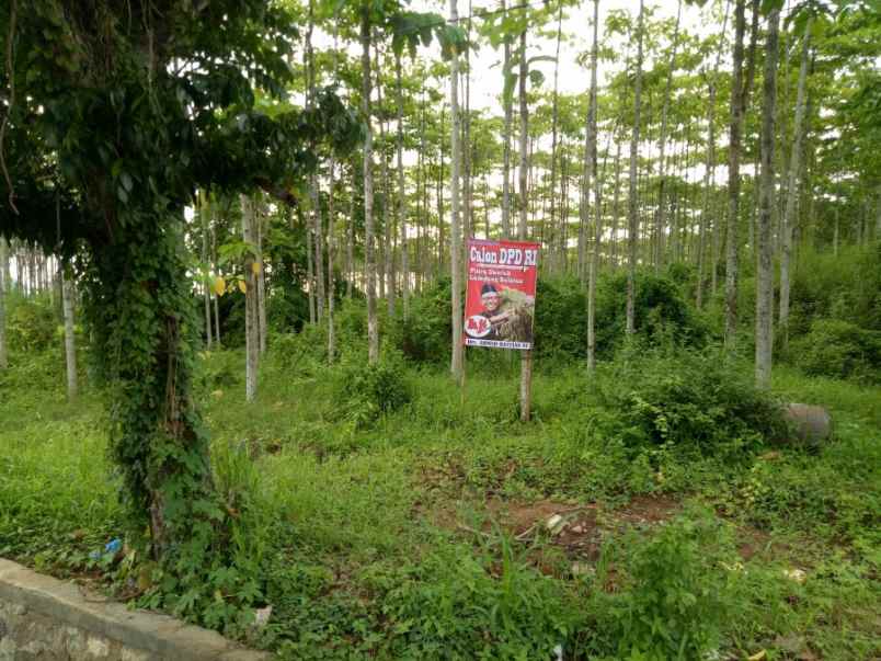 tanah jl soekarno hatta