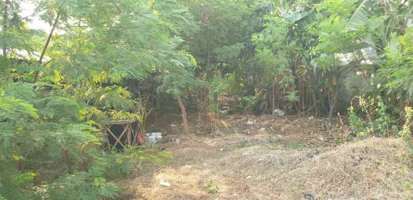 tanah jl sunan giri rawamangun