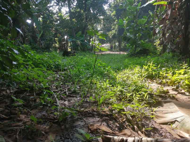 tanah jln raya citayam bojong pd