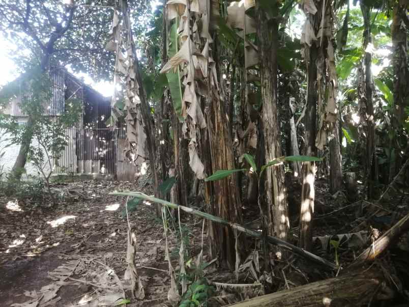 tanah jln raya citayam bojong pd