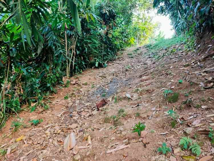 tanah karangpandan karanganyar