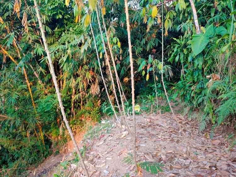 tanah karangpandan karanganyar