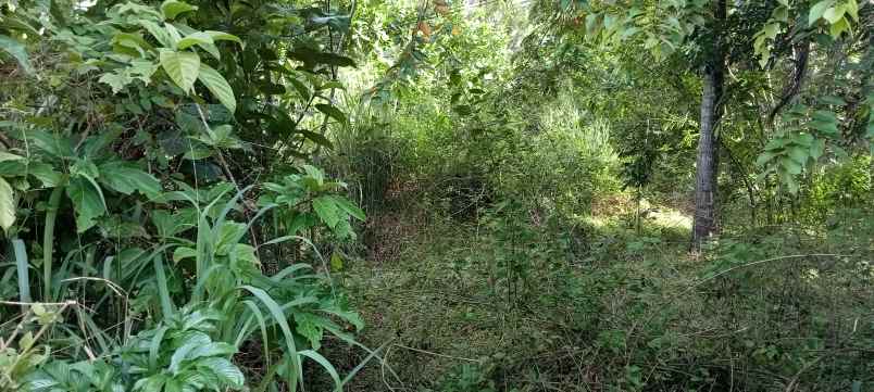 tanah kp malang sari des cikiruh