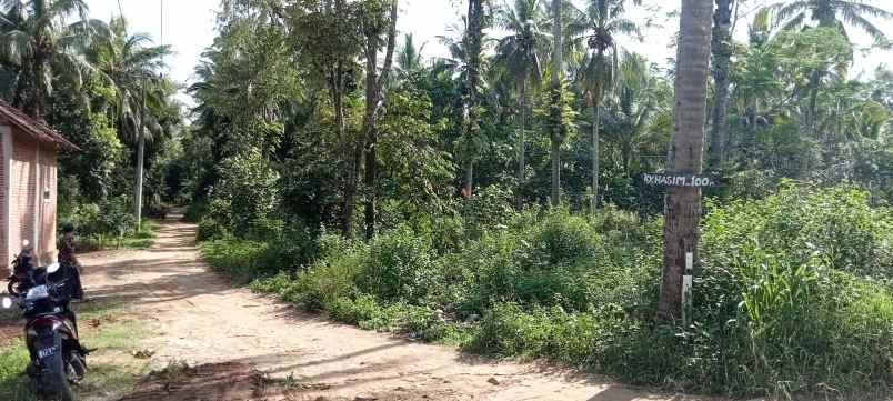 tanah kp malang sari des cikiruh