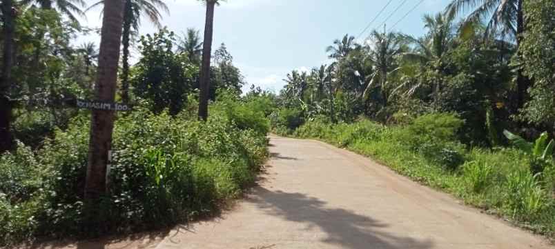 tanah kp malang sari des cikiruh