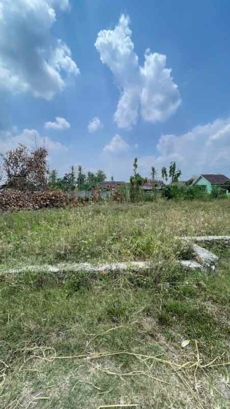 tanah murah di jatiagung dekat kampus itera