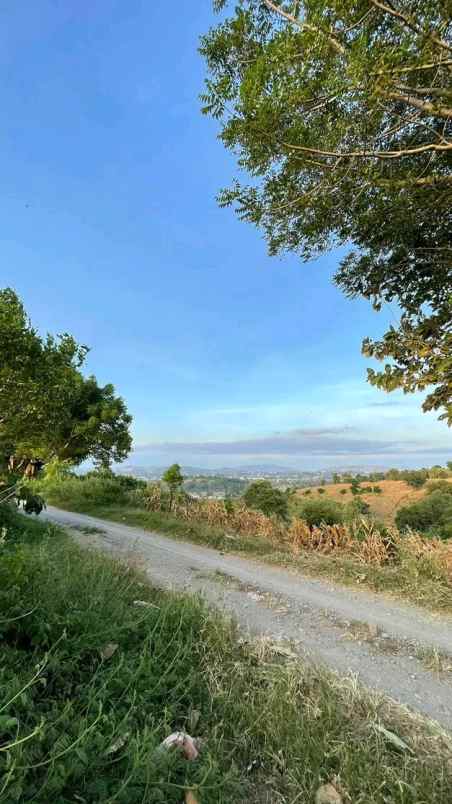 tanah perkebunan sumbawa ntb
