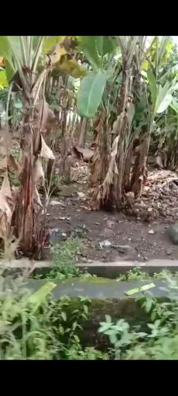 tanah rata dan padat pinggir jln desa