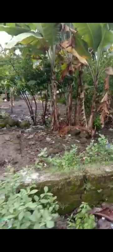 tanah rata dan padat pinggir jln desa