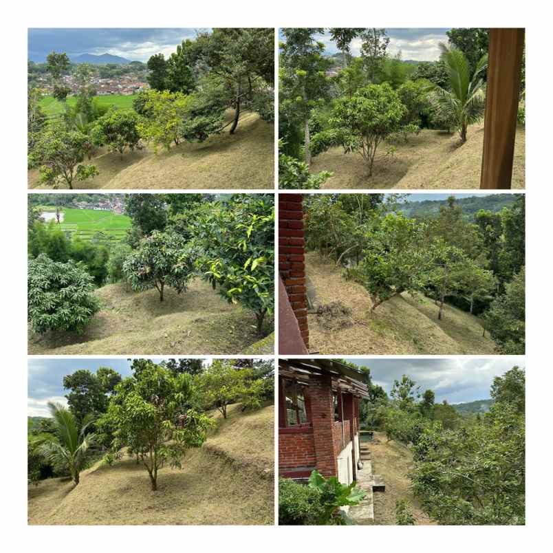 dijual ruko gudang kantor cacaban kec magelang