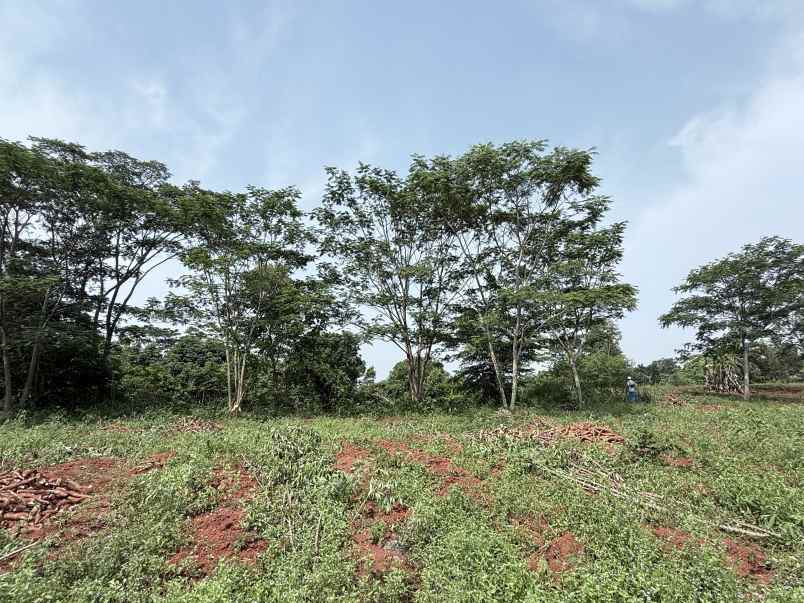 dijual ruko gudang kantor jalan campaka