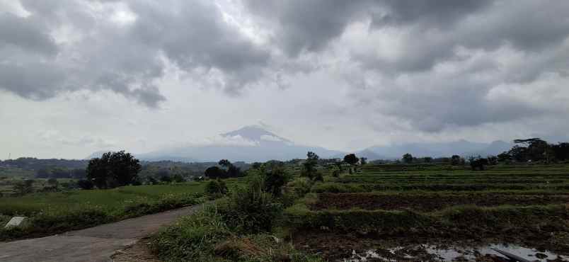 dijual ruko gudang kantor pacet mojokerto jawa timur