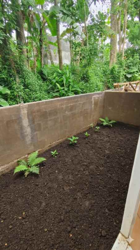 dijual rumah kambingan