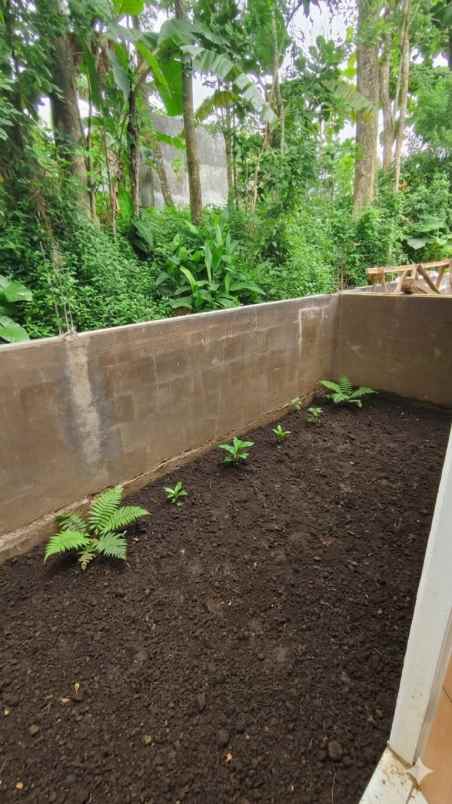 dijual rumah kedungrejo pakis malang
