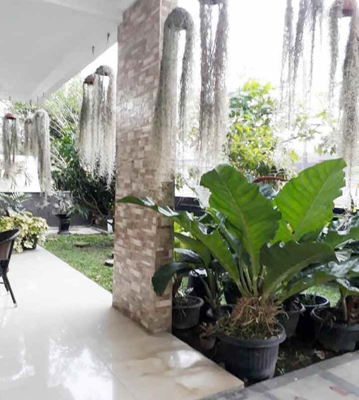 dijual rumah komplek rispa iv jl kelapa