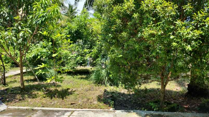 dijual rumah tawangsari
