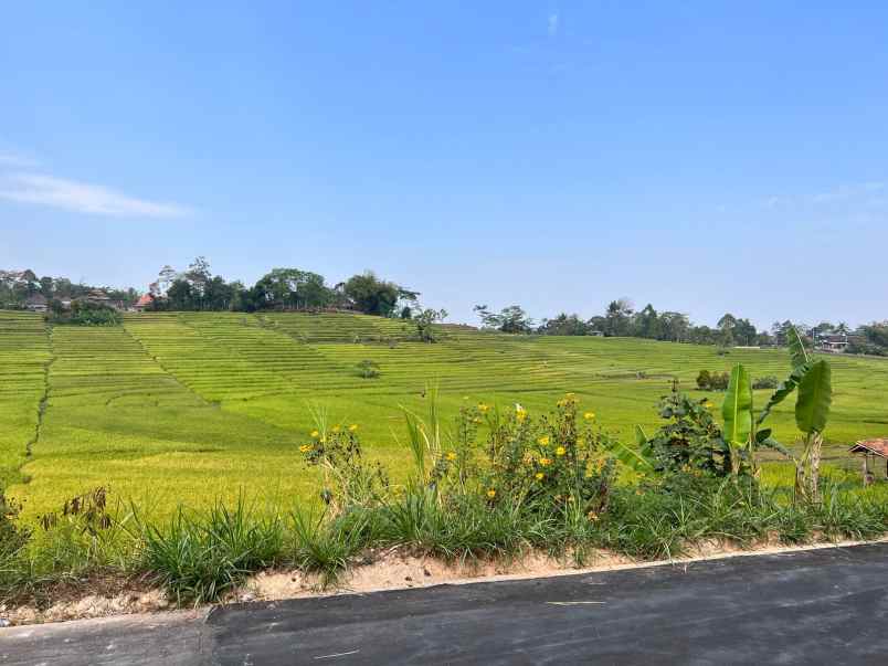 dijual tanah barat pasar karangpandan