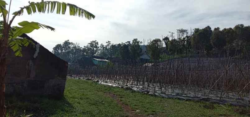 dijual tanah bukanagara pagermaneh