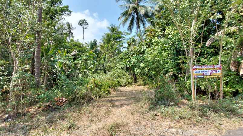 dijual tanah cepat tanpa perantara