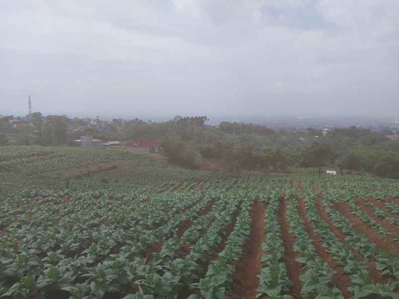 dijual tanah cibiru garung kidul