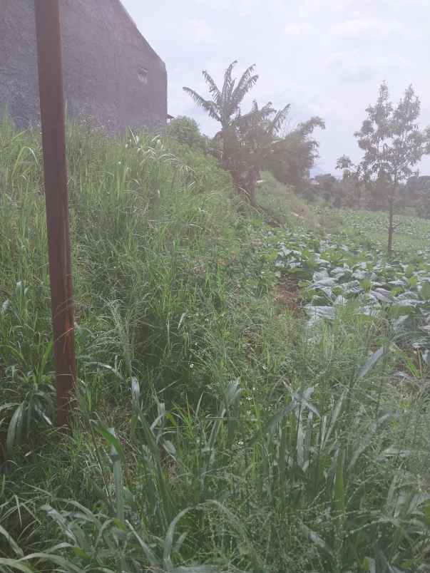 dijual tanah cibiru garung kidul