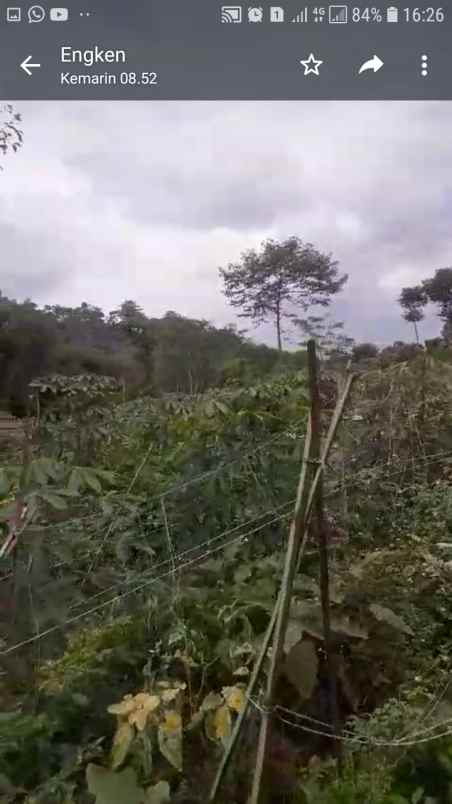 dijual tanah cinanjung tanjungsari