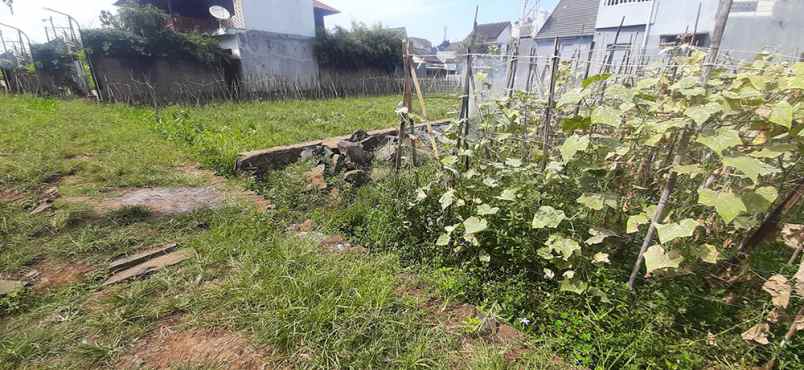 dijual tanah cisaranten kulon