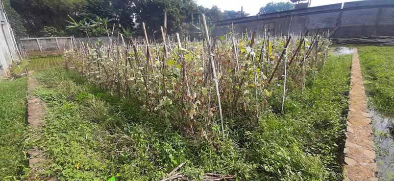 dijual tanah cisaranten kulon