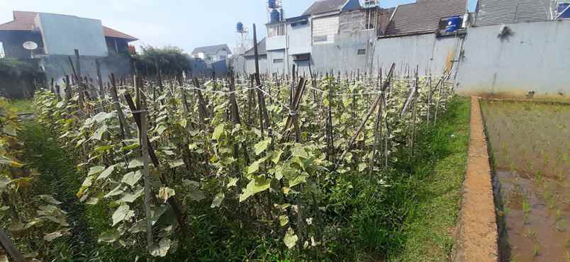 dijual tanah cisaranten kulon