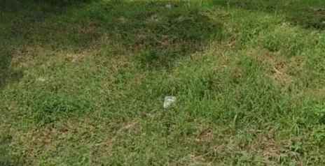 dijual tanah citraland