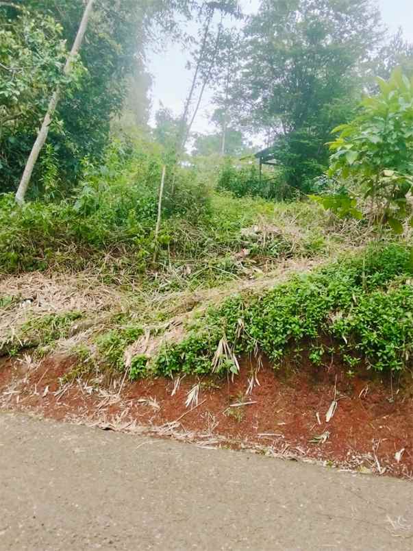 dijual tanah ciwaru