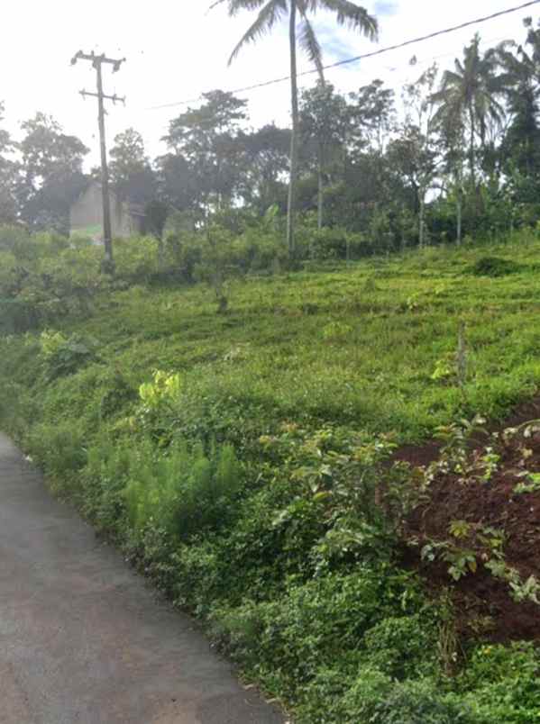 dijual tanah ciwaru